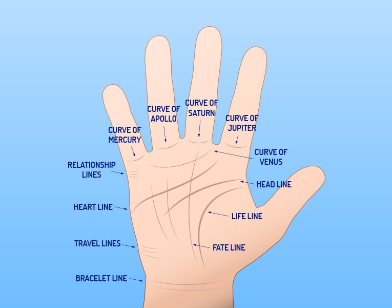 Palm Lines and Palmistry How Does it Work? - Destiny Palmistry | Palm  reading charts, Palmistry, Palmistry reading