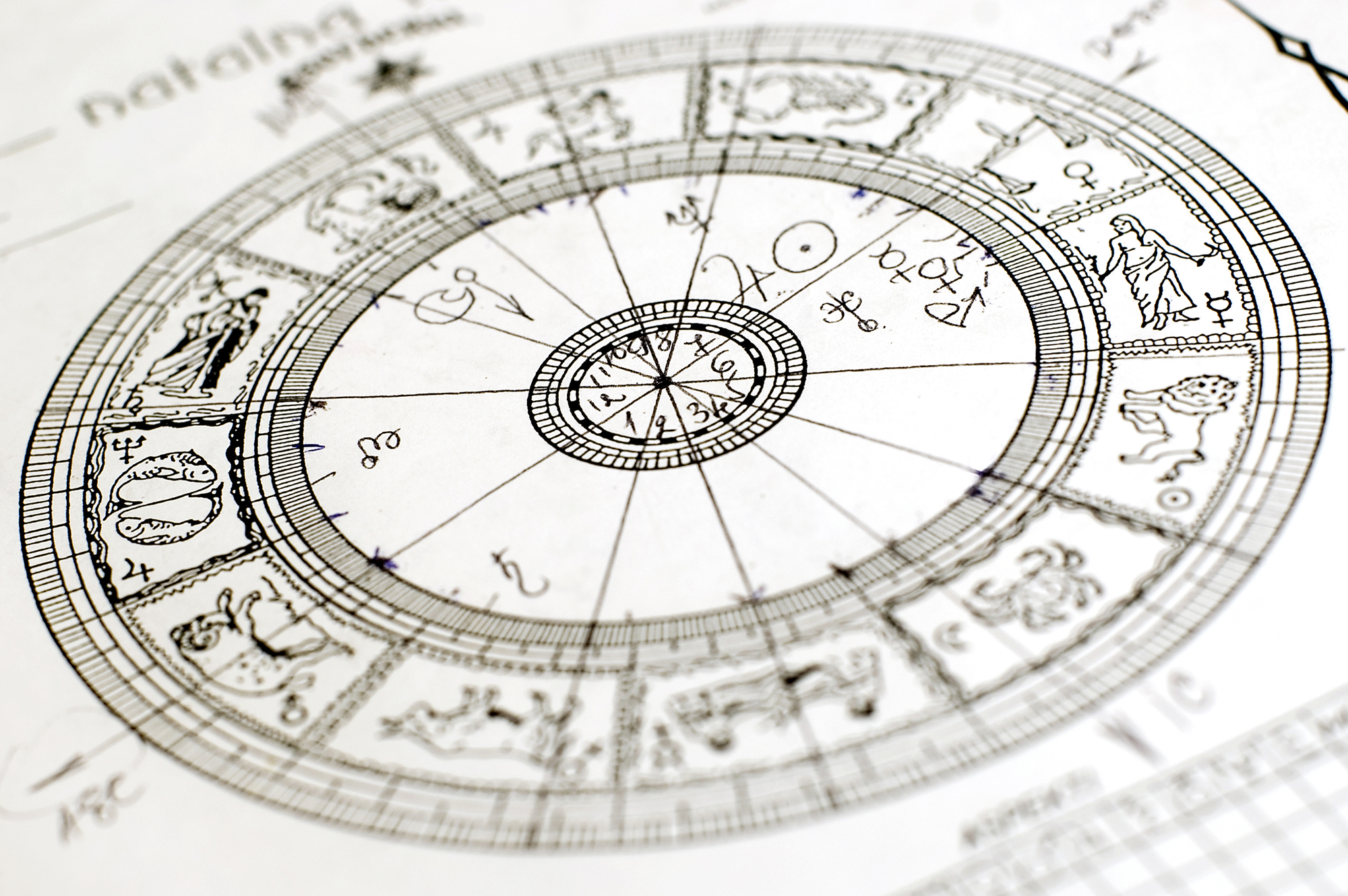 vedic astrology houses chart