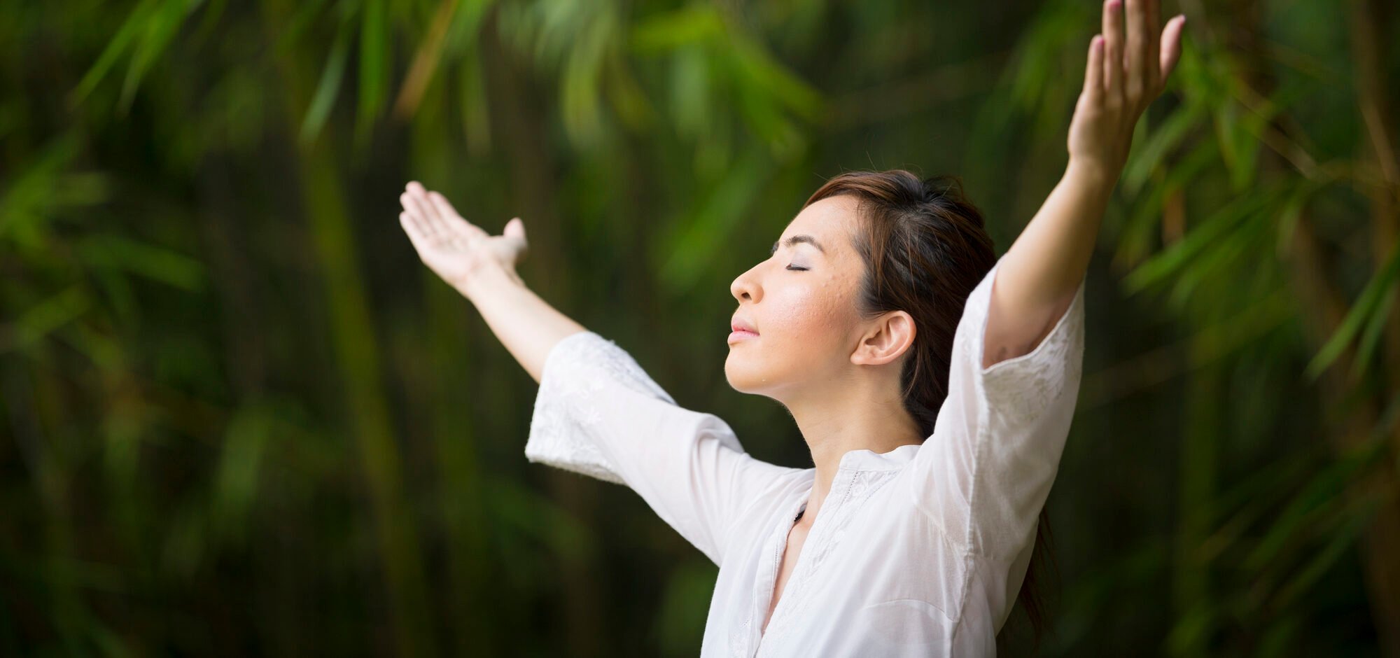 Tai Chi Chuan: what to know - WeMystic