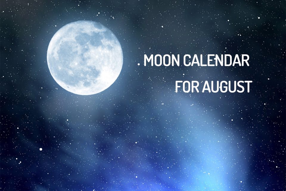 Lunar calendar for August auto analysis and introspection WeMystic