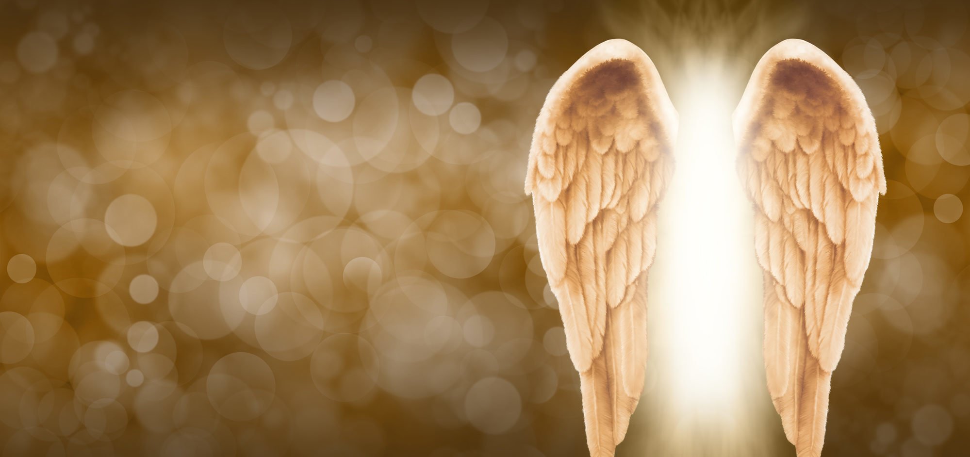 Aniel, el ángel de la sabiduría y del crecimiento espiritual WeMystic