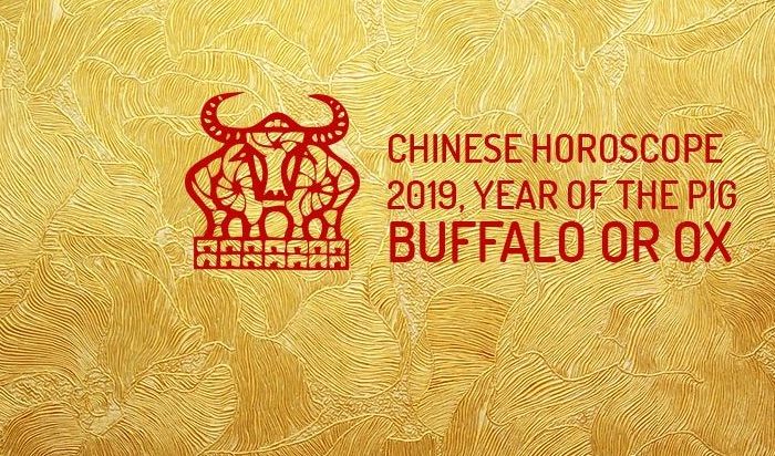 Ox In 2019 Chinese Zodiac