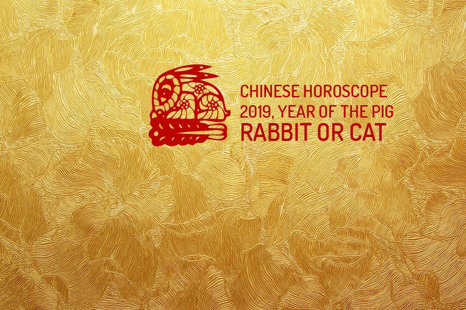 Chinese Horoscope for Rabbit 2019 - WeMystic