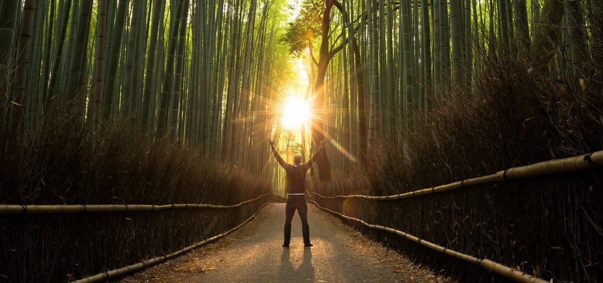 Magia natural y el poder de la naturaleza WeMystic