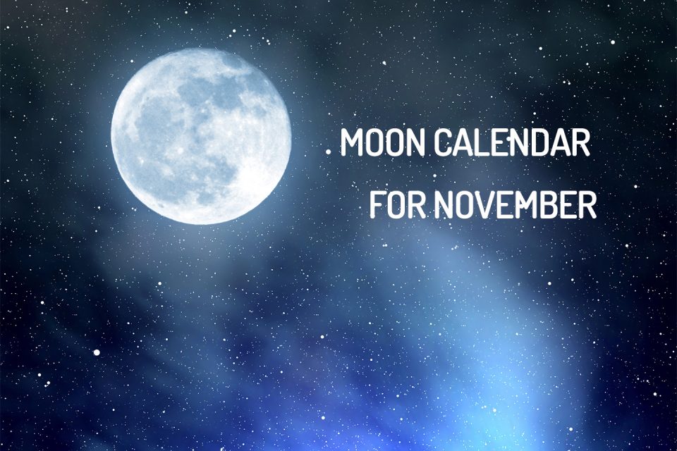Lunar calendar for November 2019 time to remove bad influences WeMystic