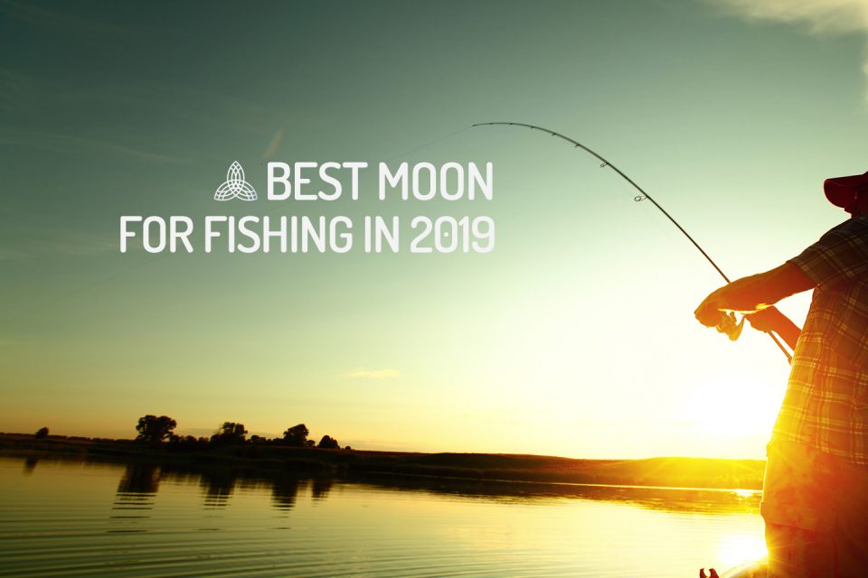 Fishing Moon Phase Chart