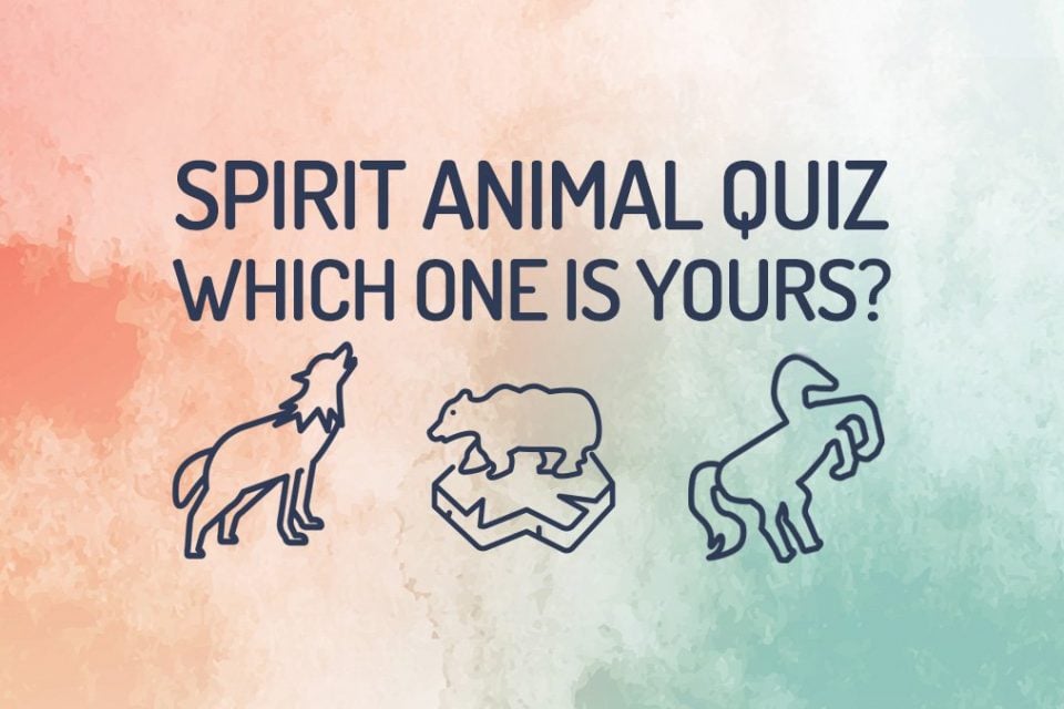 Take our Spirit Animal quiz to find yours - WeMystic