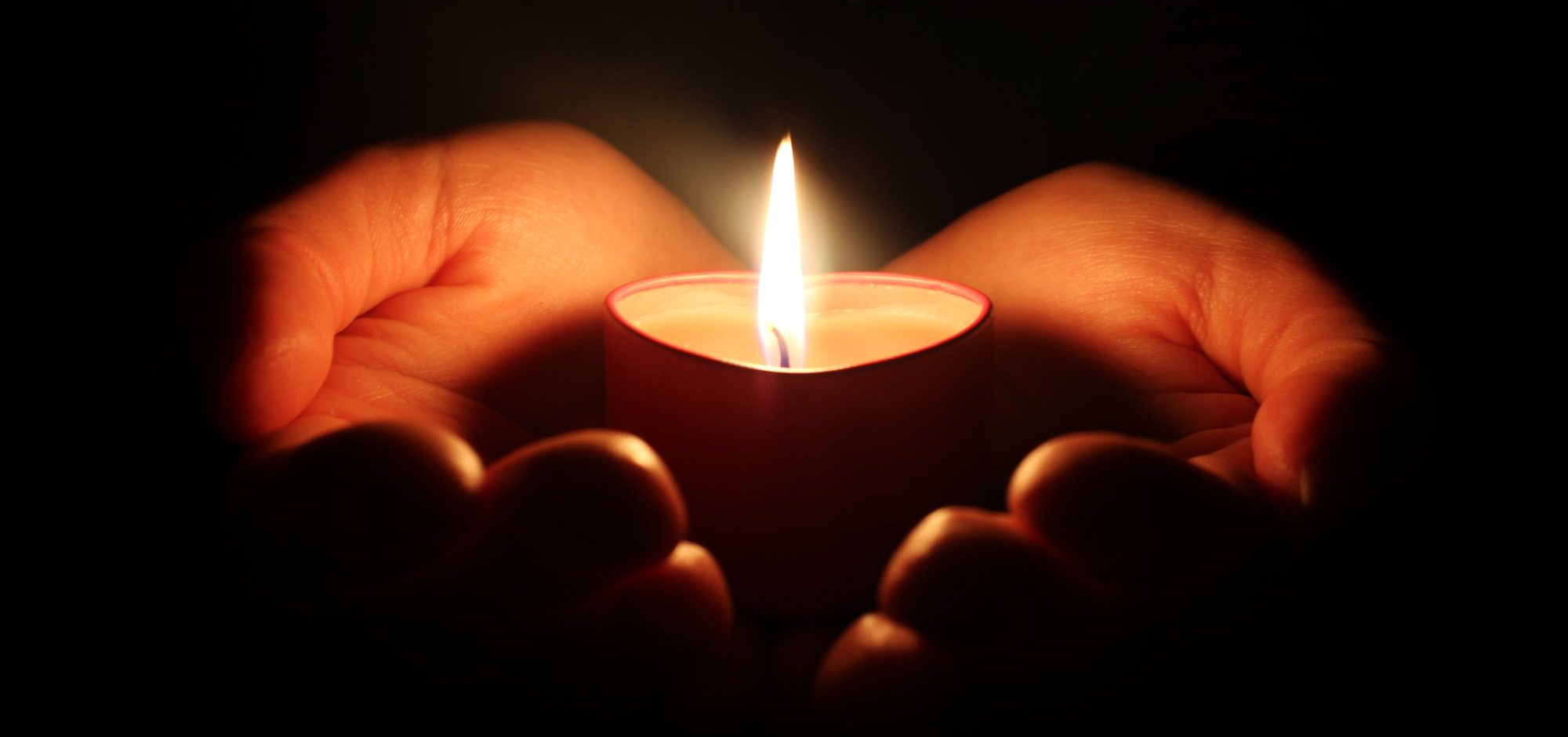 Our Lady of Lourdes WeMystic