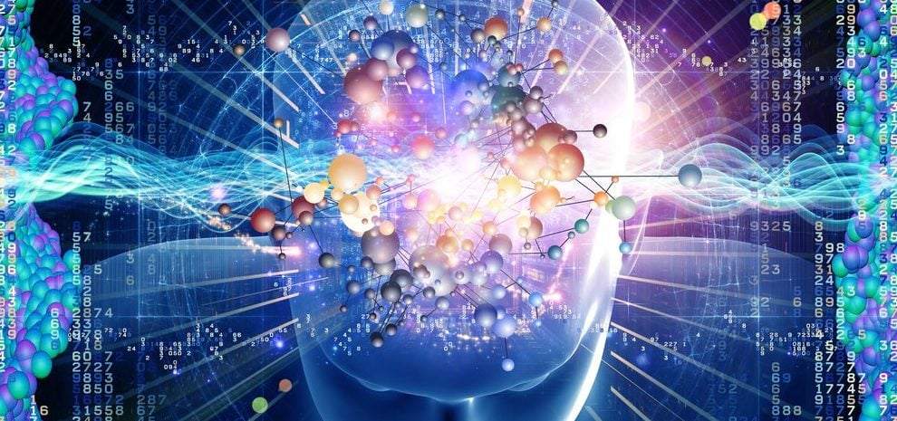 Diccionario de la biodescodificación