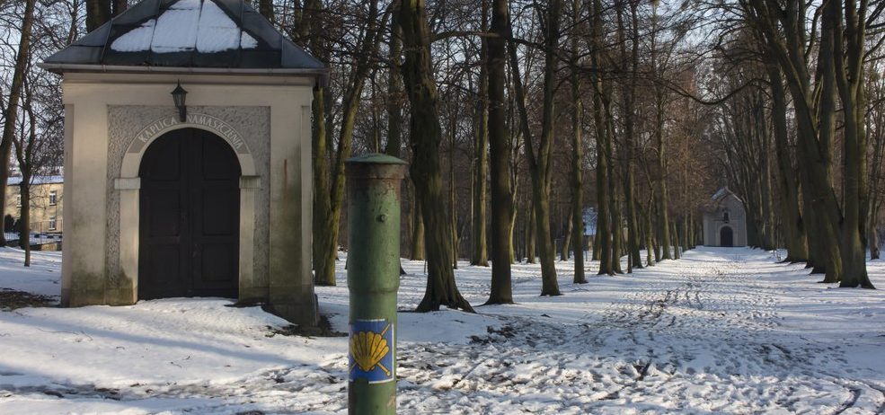 Camino de Santiago en invierno