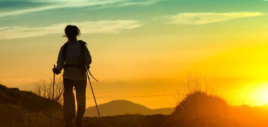 significado de peregrino