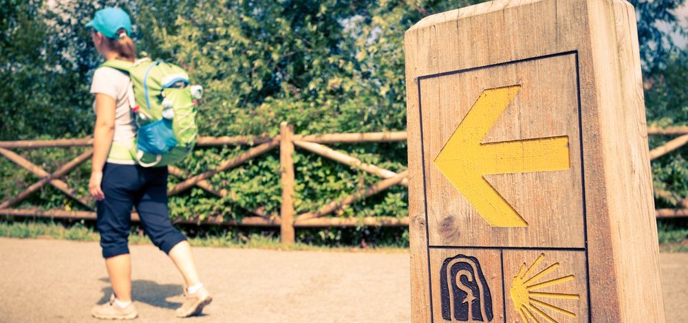 Camino de Santiago con perro