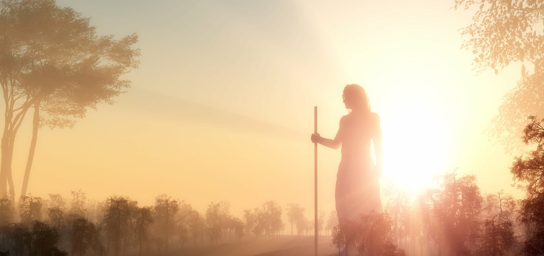 Peregrinación a Salta