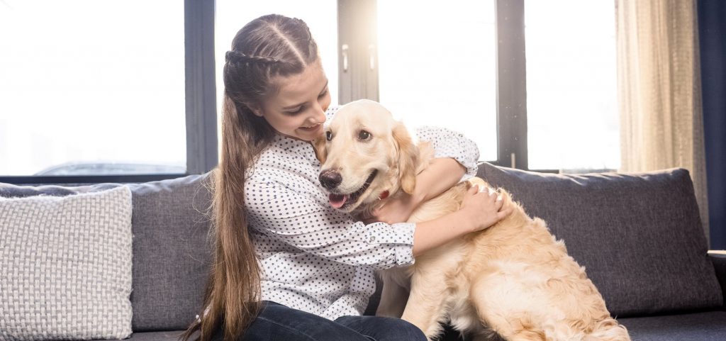 La bendición de animales de San Antón