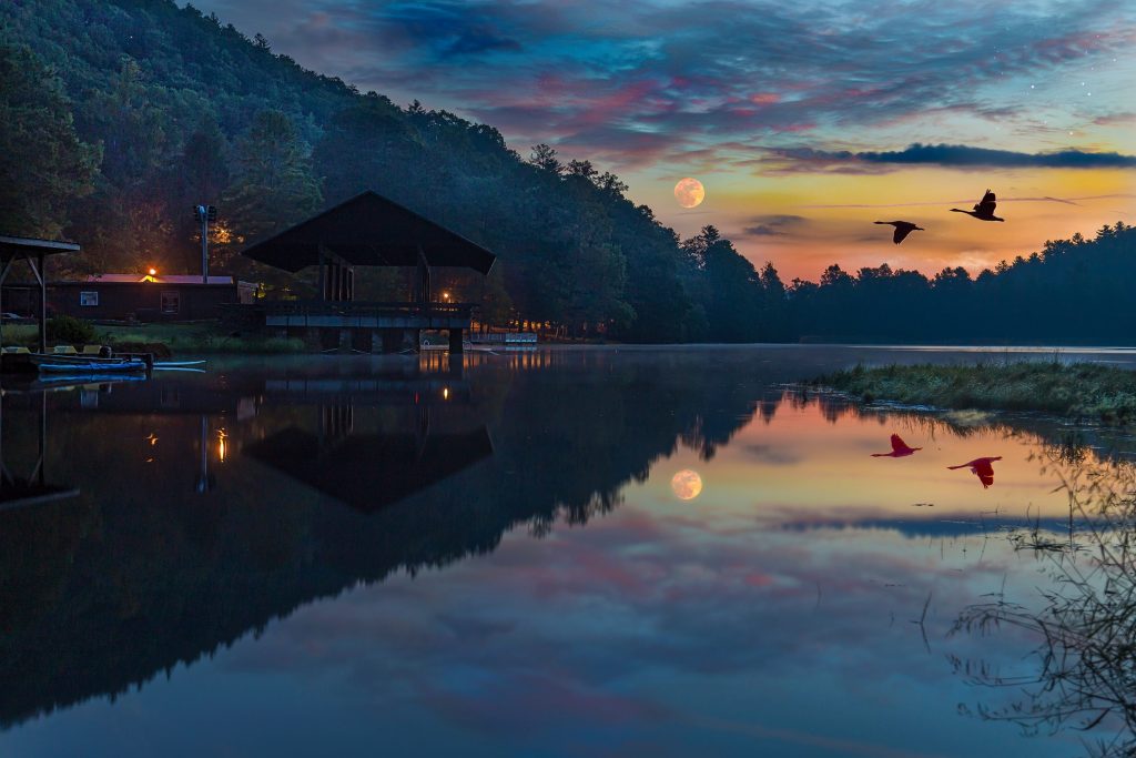 luna nueva en virgo 2019