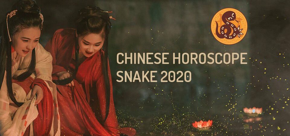 Chinese Horoscope 2020 For Snake Wemystic