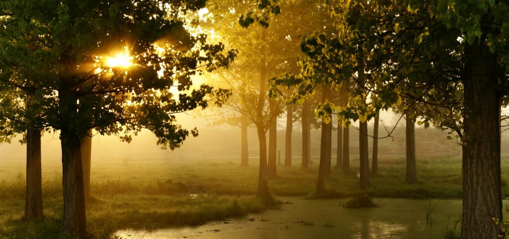 Aparición del guía espiritual en nuestra vida