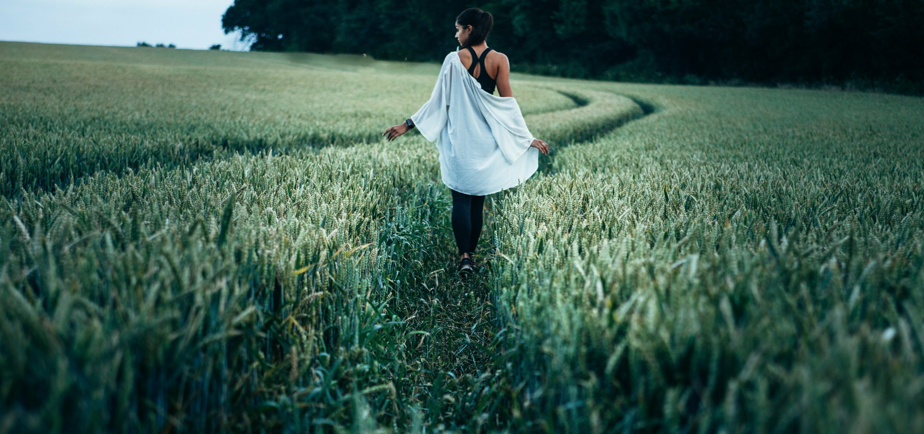 Sagittarius New Moon 2019