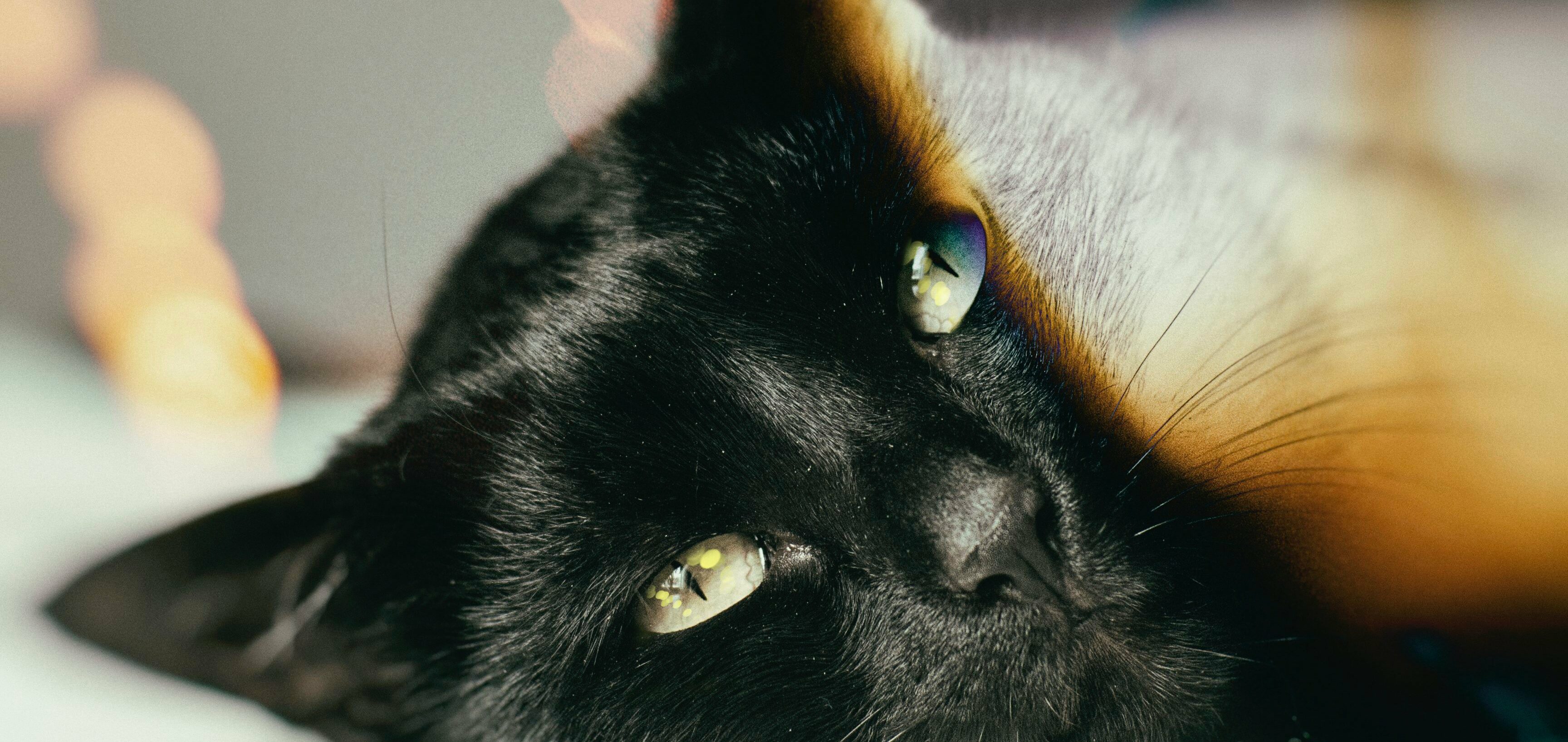 supersticiones-en-colombia