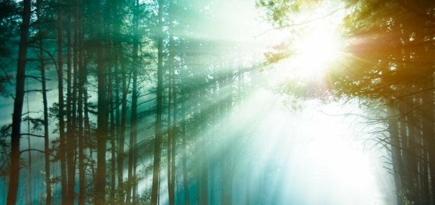 Historia de Shambala