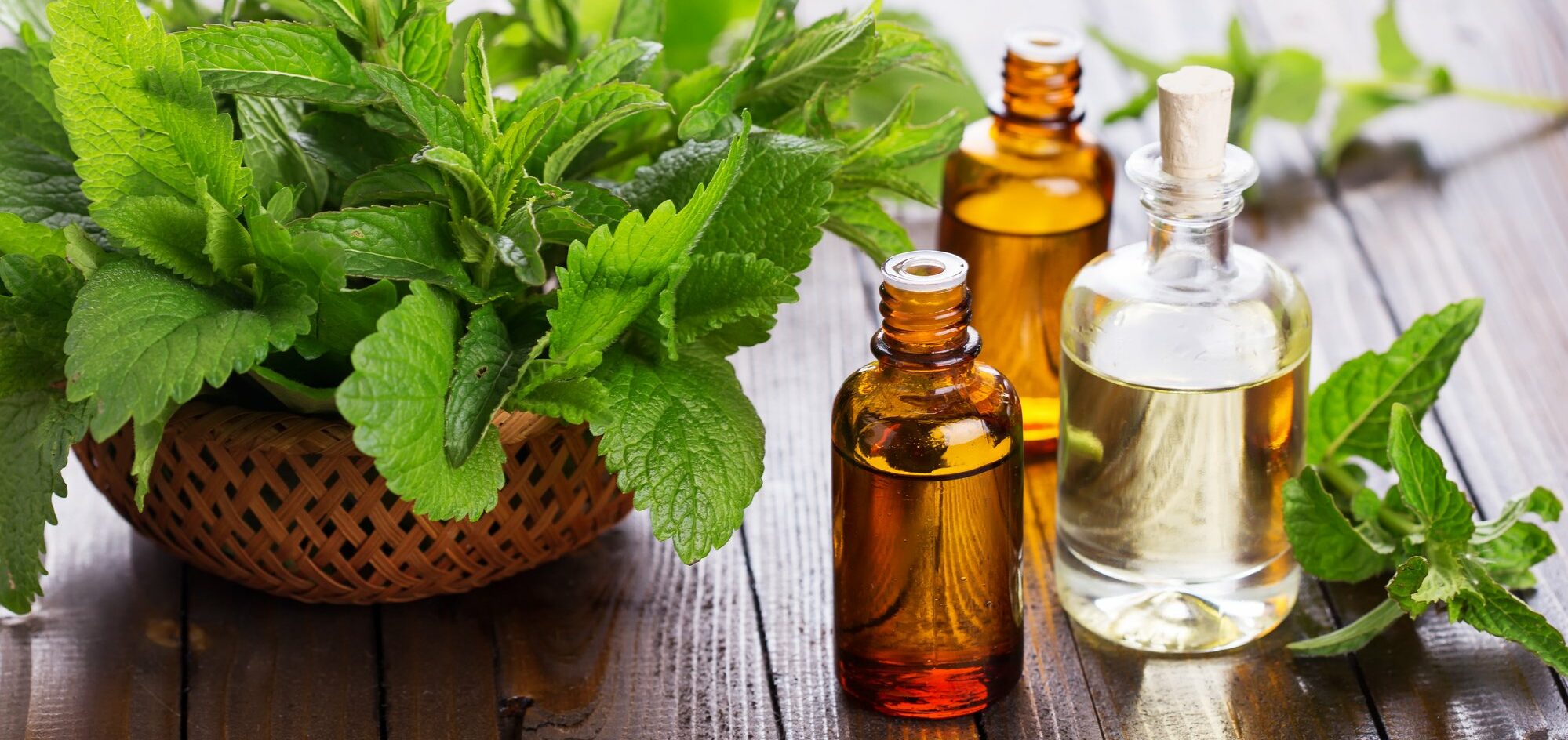 Peppermint uses and benefits WeMystic