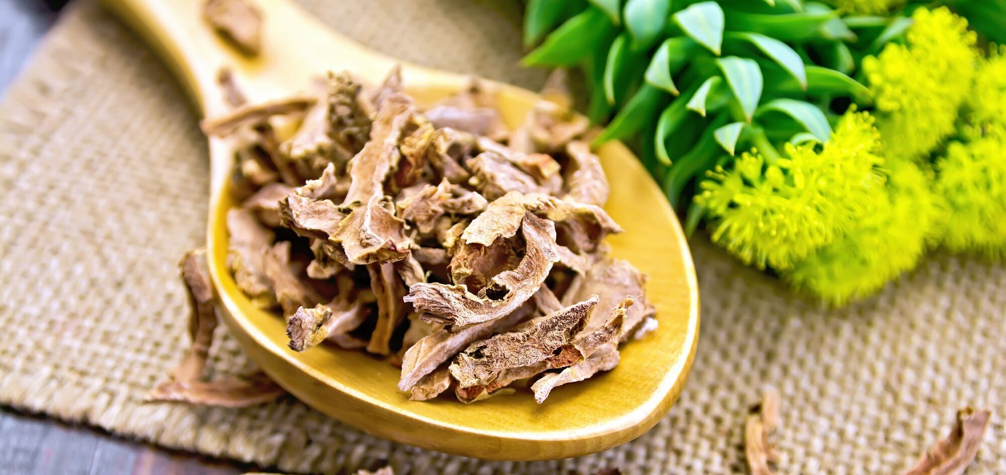 All you need to know about Rhodiola rosea WeMystic