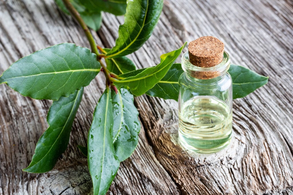 oleos esenciales para el sexto chakra