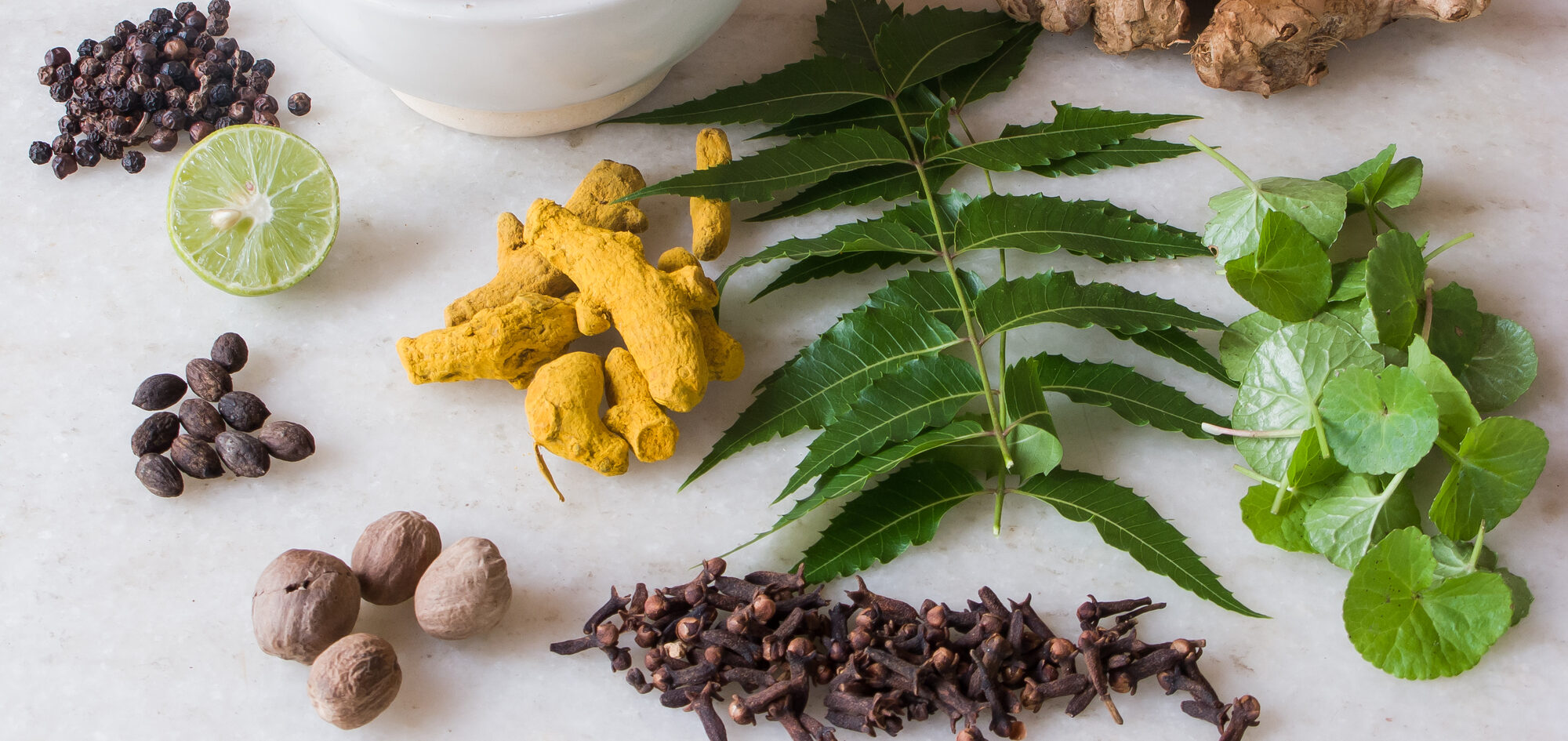 Ayurveda herbs a blessing from nature WeMystic