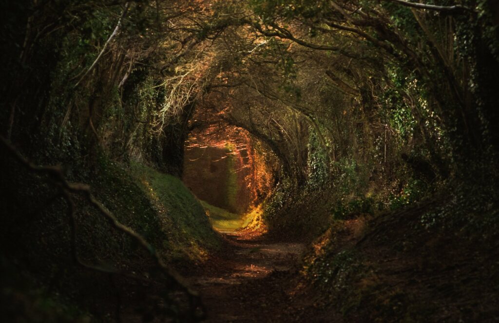 Teoría de la Tierra Hueca