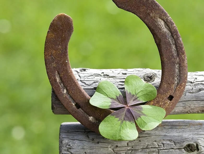 How to Hang a Horseshoe for Good Luck WeMystic