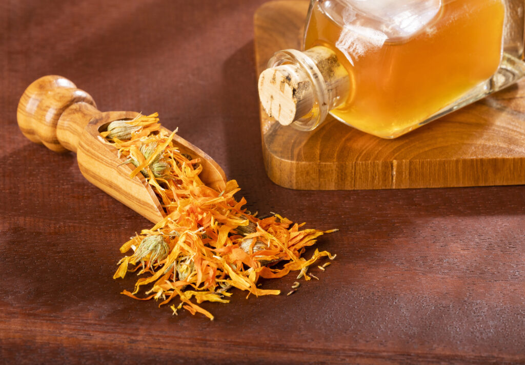 Aceites esenciales y agua de hierbas para tus mascotas