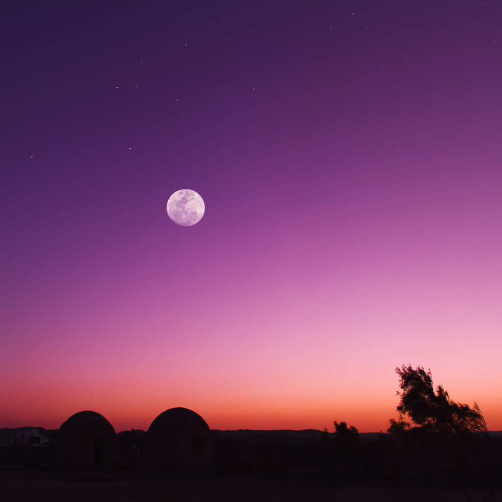 Lunar birth calendar for 2021