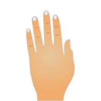 Tipos de Manos en la Quiromancia