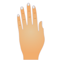 Tipos de Manos en la Quiromancia