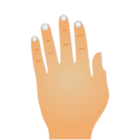 Tipos de Manos en la Quiromancia