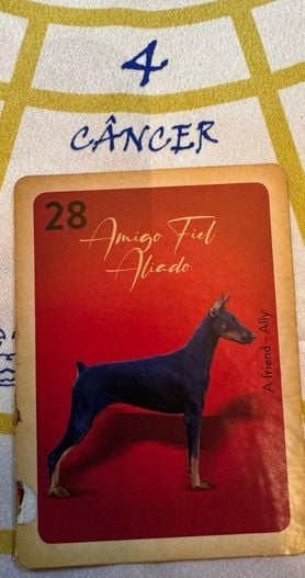 Previsões da Dona 7 para 2026