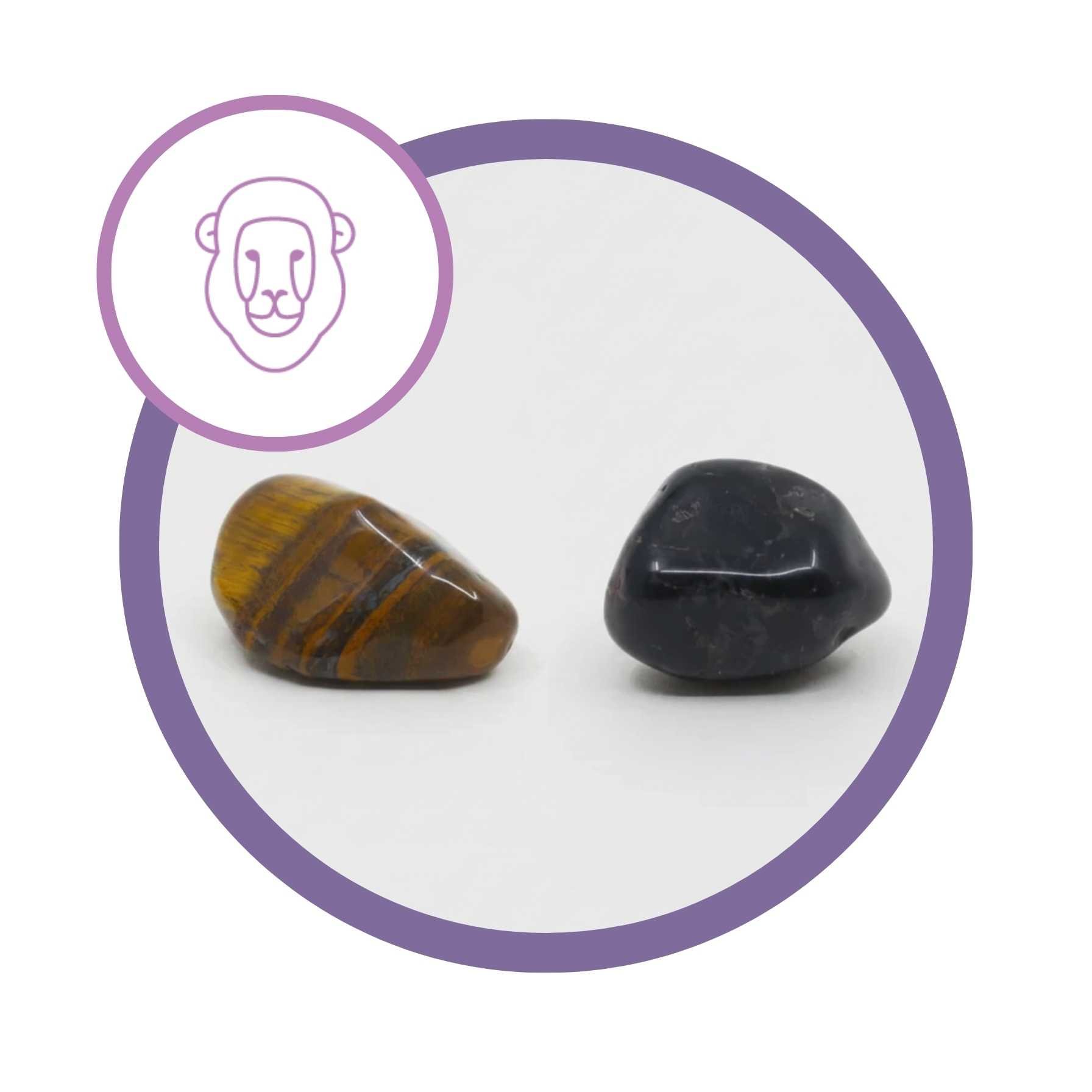 cristal regente de cada signo em 2025 - Signo Leão