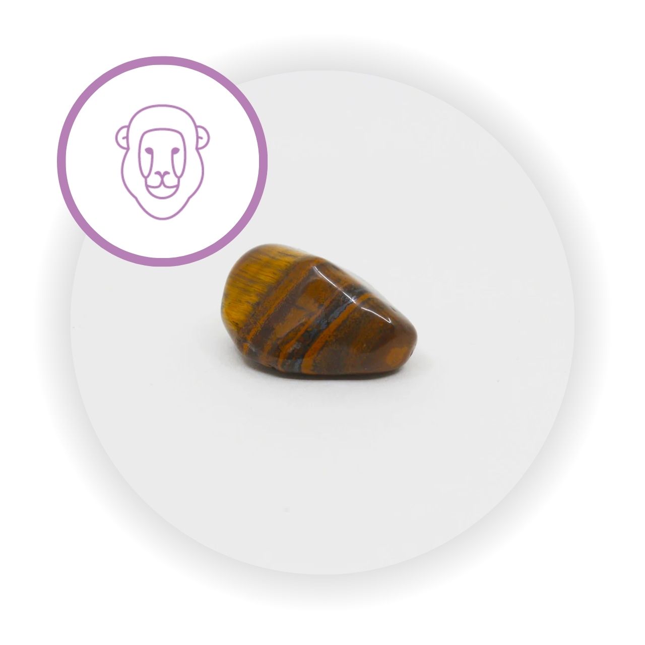 Cristal ou Pedra do Signo Leão Olho de Tigre