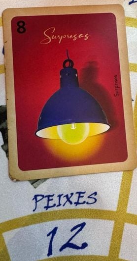 Previsões da Dona 7 para 2026