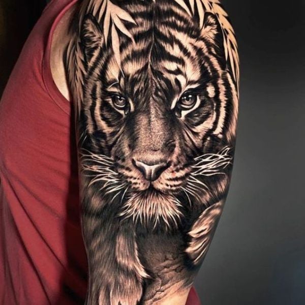 tatuagem tigre