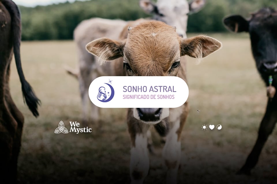 Sonho Astral, autor convidado no WeMystic Brasil